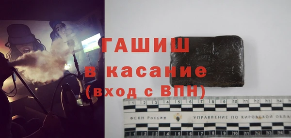 индика Заволжье