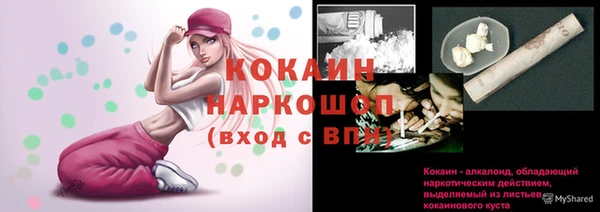 индика Заволжье