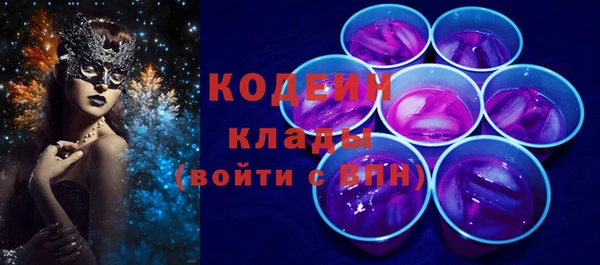 индика Заволжье
