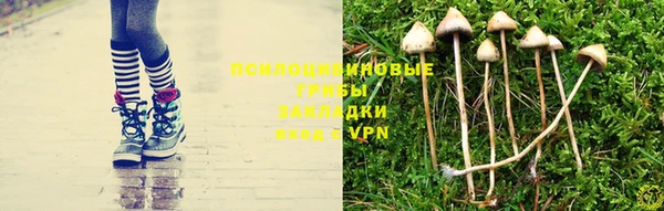 ALPHA PVP Заводоуковск