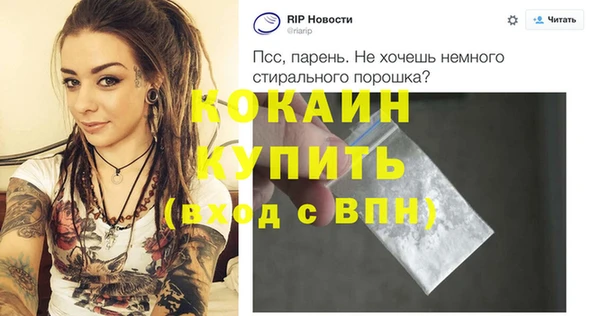 индика Заволжье