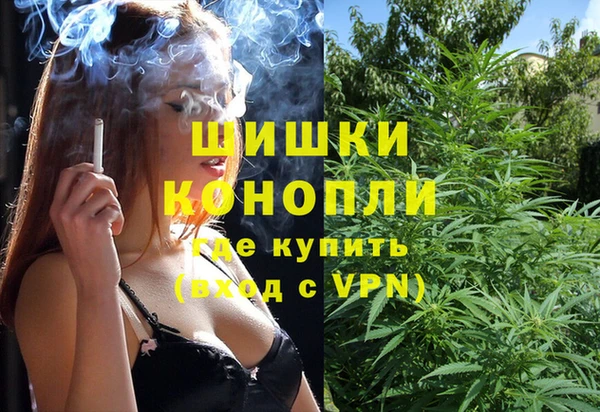 индика Заволжье