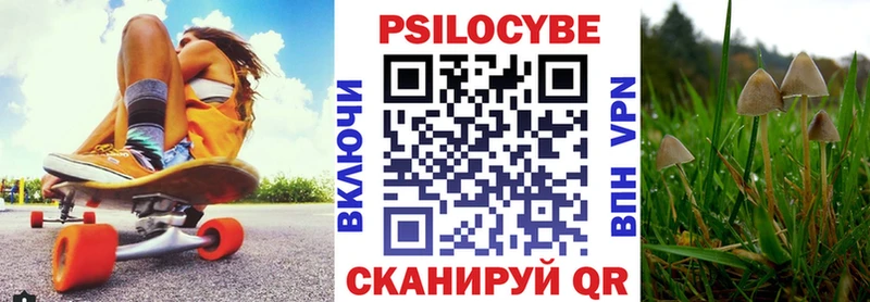 Псилоцибиновые грибы MAGIC MUSHROOMS  MEGA зеркало  Котовск  наркота 
