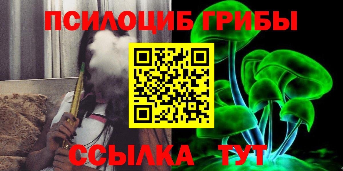 Галлюциногенные грибы Psilocybe Котовск