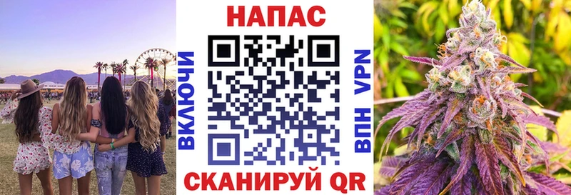 как найти   Котовск  Марихуана сатива 